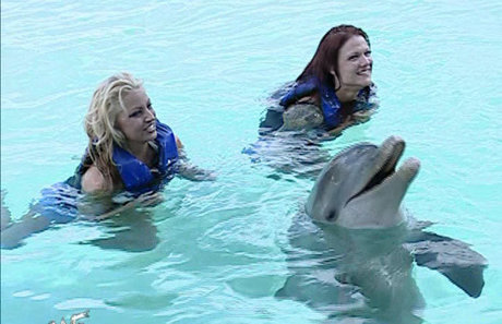 妻のアナルOnlyFans ヌード 写真