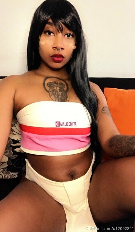 malicemiya アダルトスター 画像