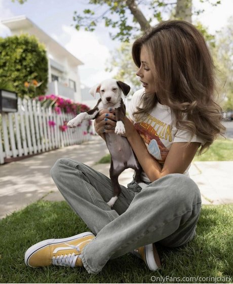 corinjclark 限定スター 画像