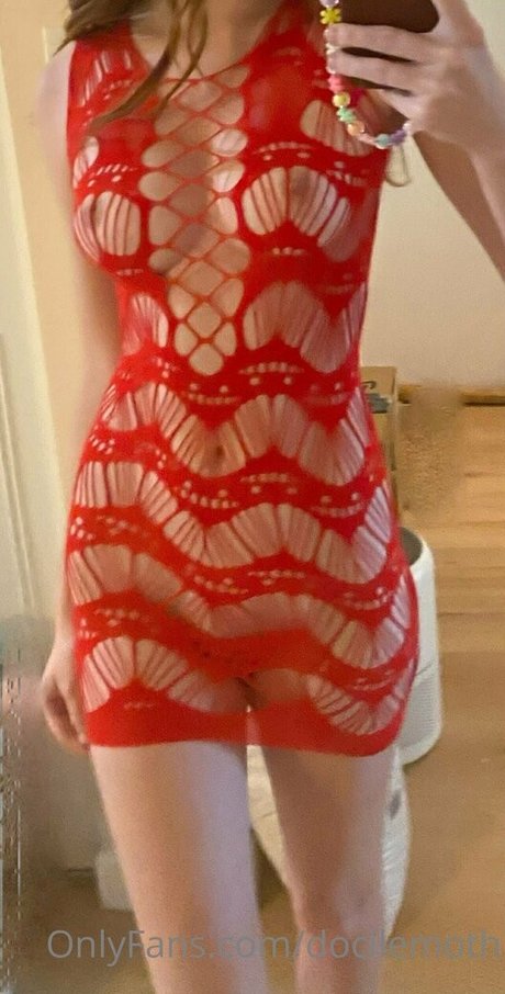 docilemoth HDモデル 写真