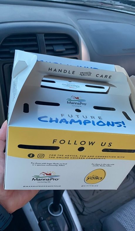 vixenshelbyfree セクシーなスター 写真