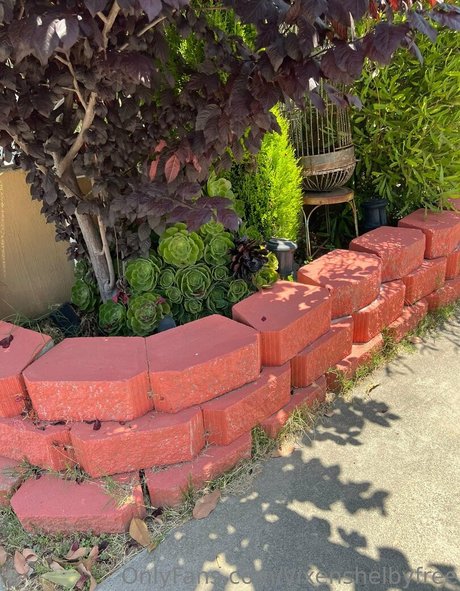 asmr フェラチオ onlyfans ホットポルノ 画像