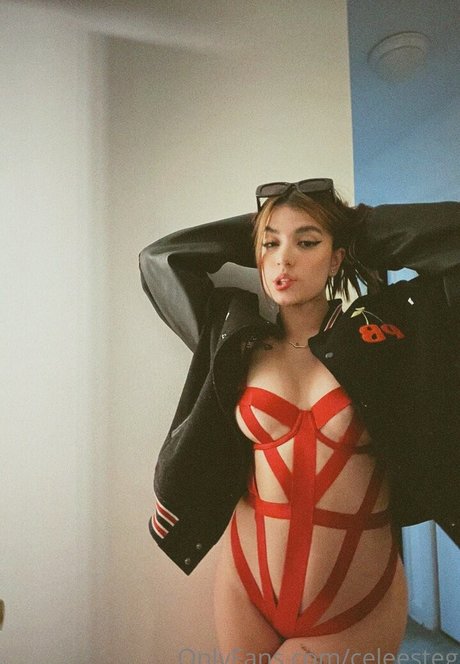 Celeesteg スター 写真