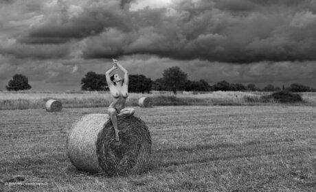 裸の男性 OnlyFans xxx 写真