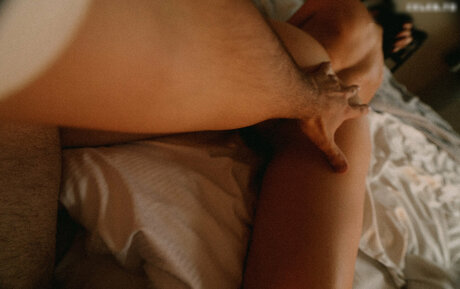 シーンオンリーファン ホットポルノ アーカイブ