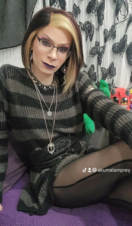 Akumalamprey 素敵なスター 写真