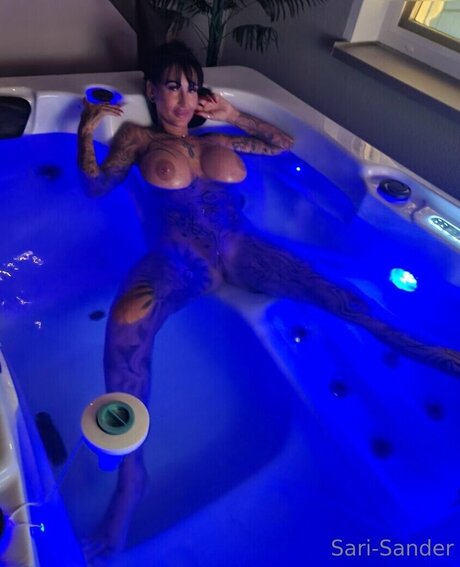 Sari Sander トップ女優 画像