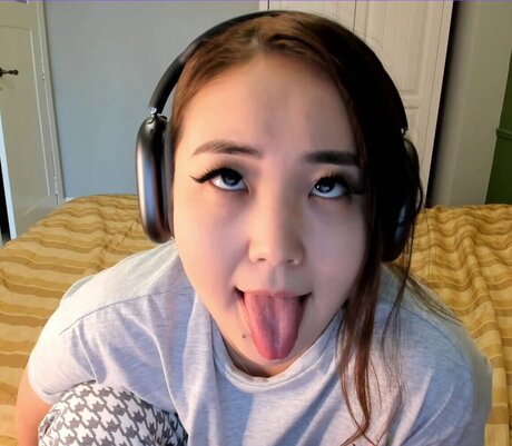 boraa_ かわいいスター 写真