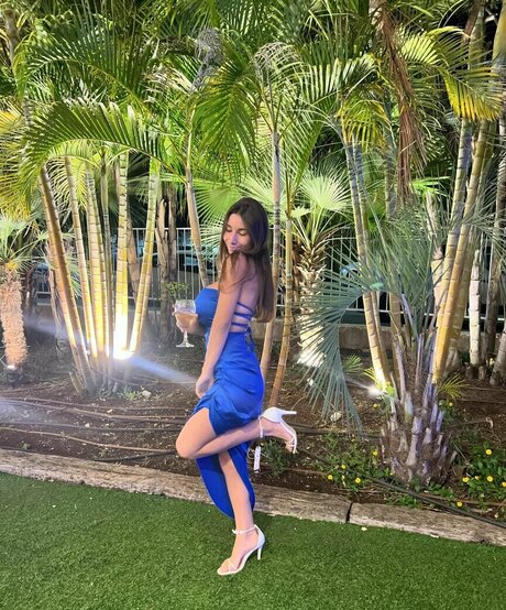 shir vaturi 完璧なスター 画像