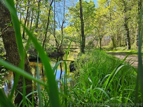 黒人無料OnlyFans 無料裸 写真