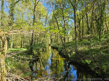 Agostinha Red 完璧なモデル 写真