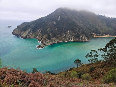 Agostinha Red 高品質のスター 写真