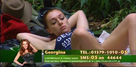 Ich bin ein Star Holt mich hier raus_ 無料スター 写真