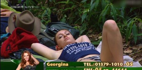 Ich bin ein Star Holt mich hier raus_ トップポルノスター 写真