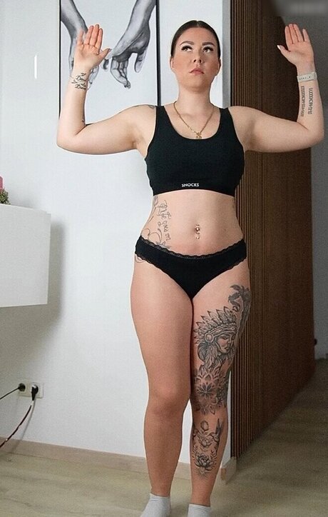 Die Meedtis HDスター 写真