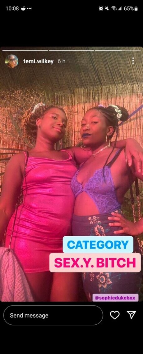 トゥワークオンリーファン ポルノグラフィック 写真