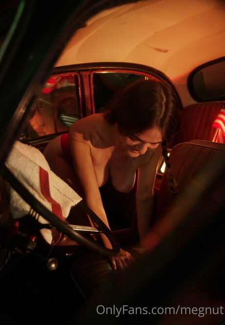 アナルパウグオンリーファンズ HD 写真