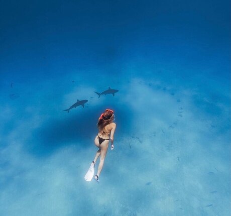 BrieWallz ポルノスター ギャラリー