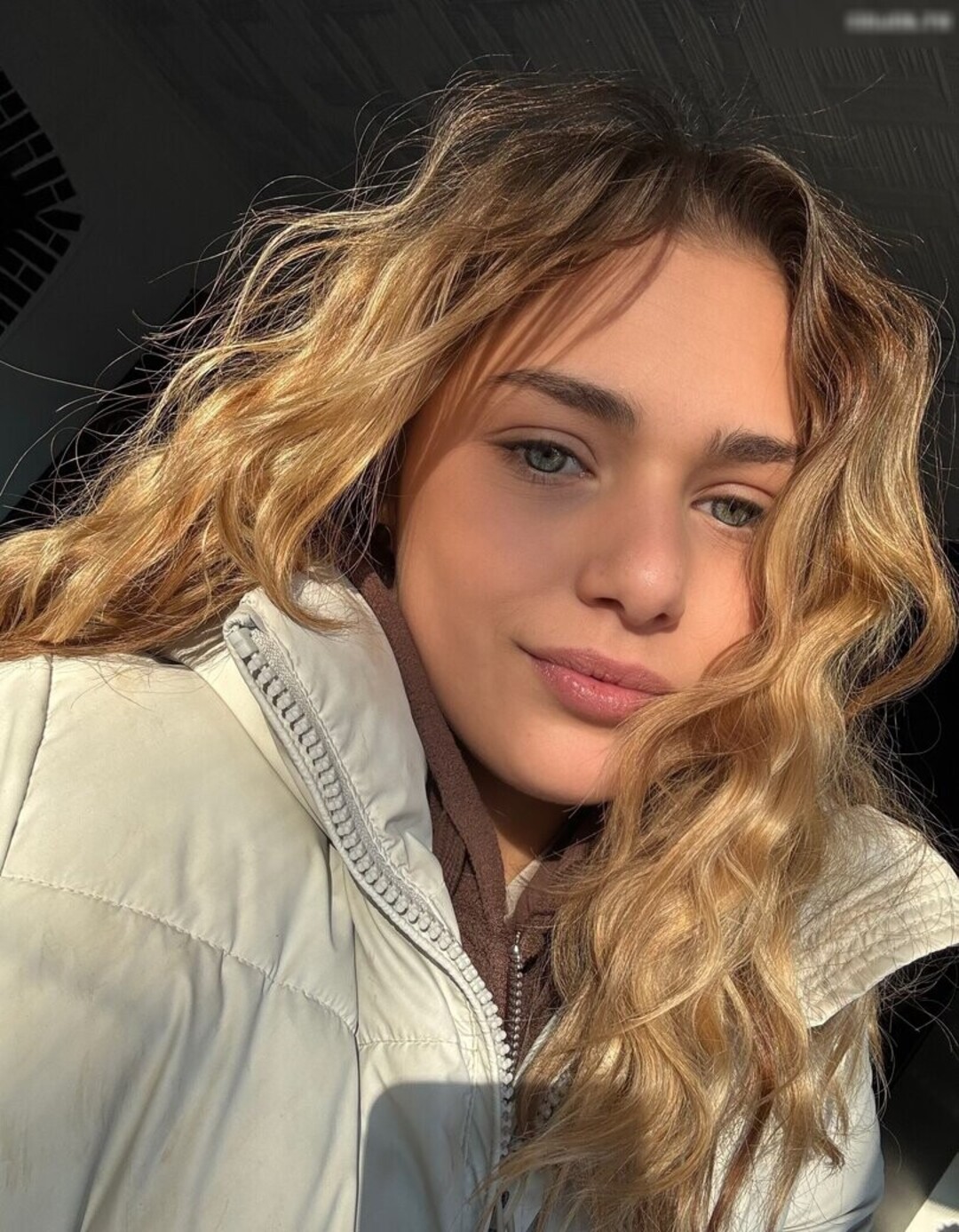 Elsa Wei enbach 美しい女優 写真