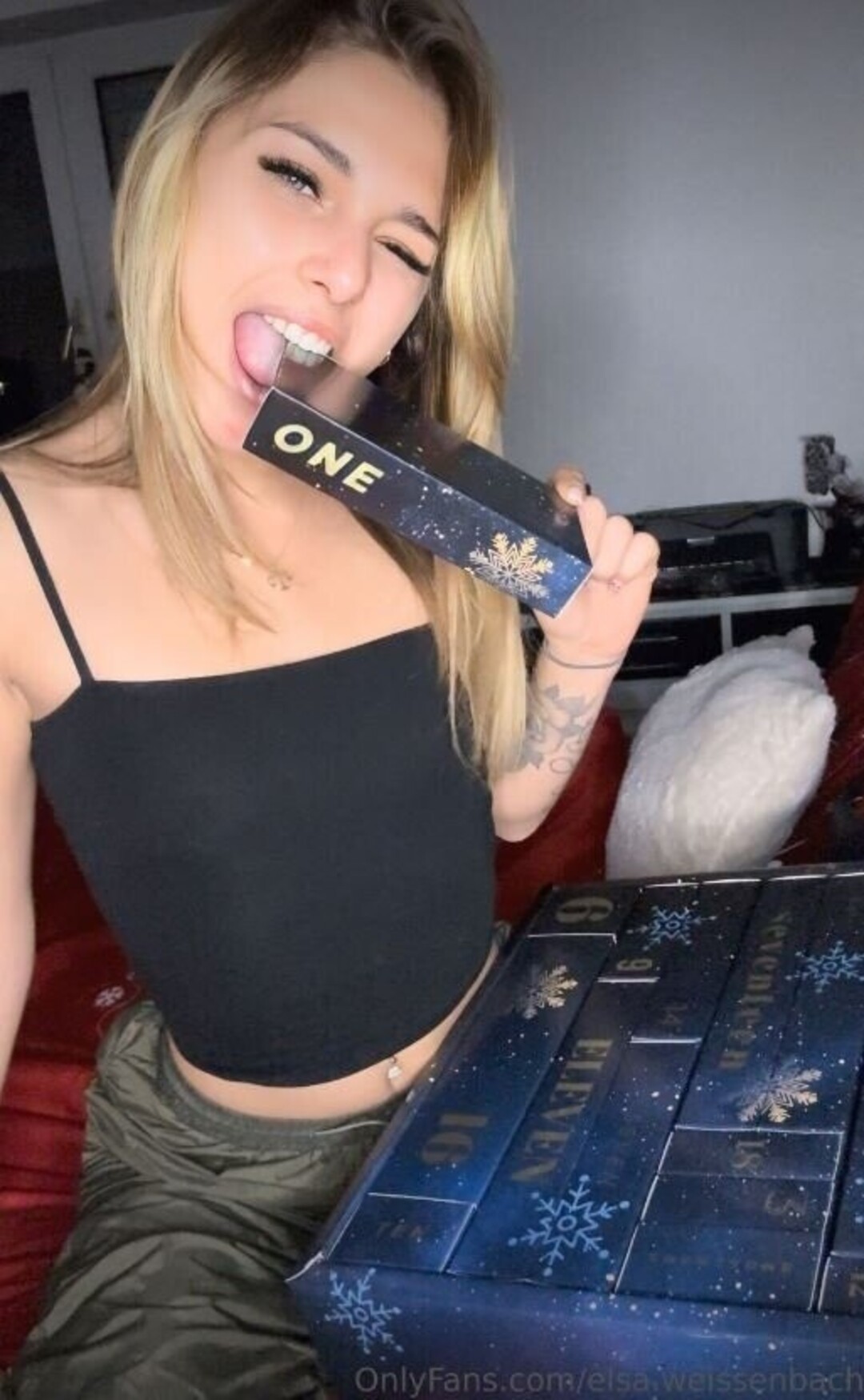 Elsa Wei enbach 完璧なポルノスター 写真