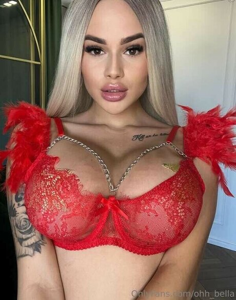 ohh bella スター アーカイブ