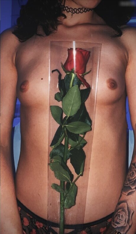 secret hub wue 完璧なモデル アーカイブ