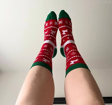 Lunafee1 ホットスター 画像