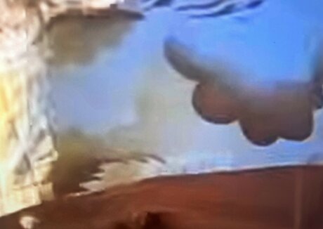 Sailing The Far Side 無料のポルノスター ギャラリー