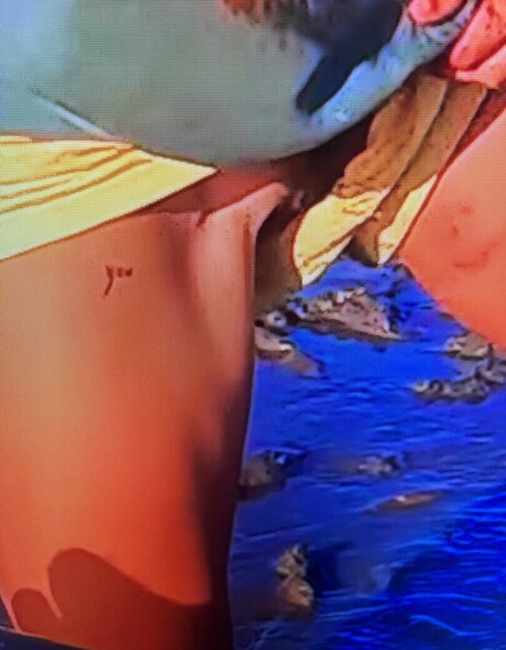 Sailing The Far Side セックススター 写真