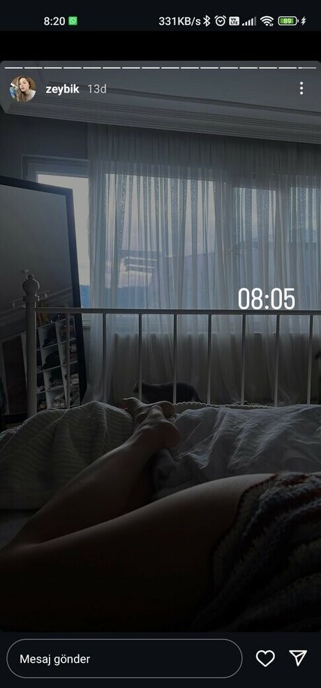 zeybik アートポルノスター 画像