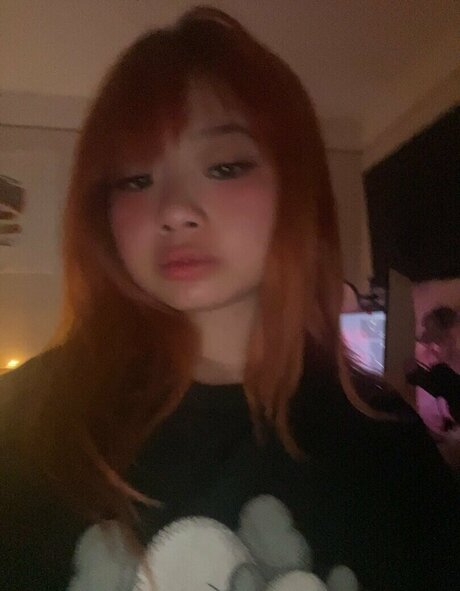 Seireals HDモデル 写真