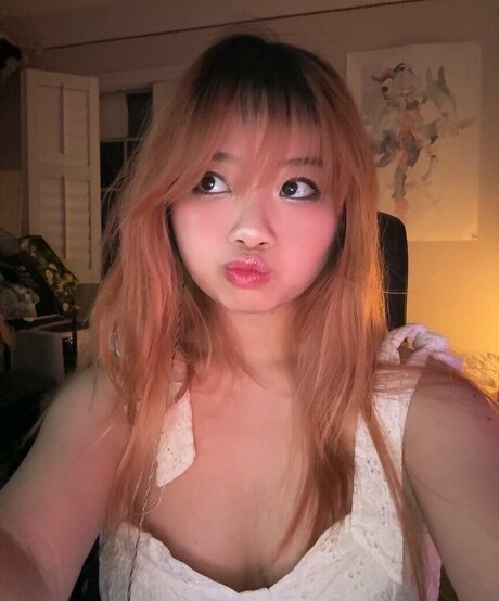 Seireals 高品質モデル 画像