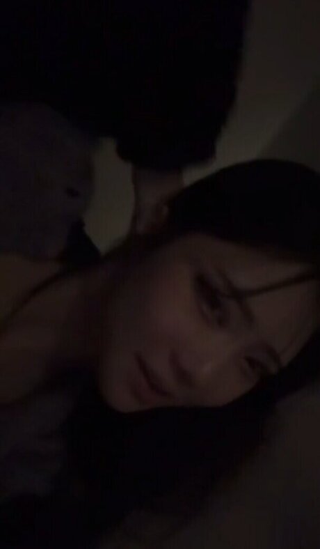 ehxoehlstkfka0 profile image