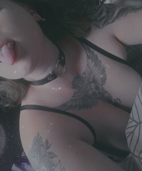 xlenaa official 完璧なスター 画像