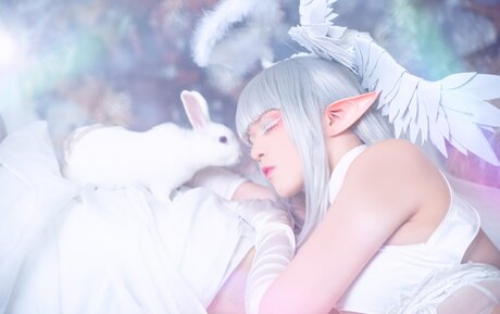 DMV オンリーファン 無料裸 画像