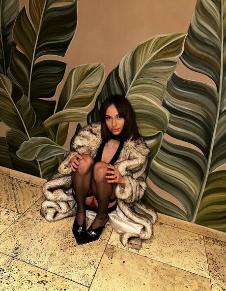 Prima Bella 裸のスター ギャラリー