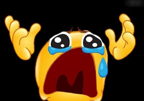 フィンドムオンリーファンズ アートヌード 画像