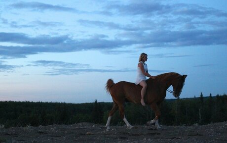 セクシーなブロンドのOnlyFans パーフェクト ギャラリー