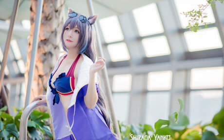 Shiraga Yanko アートスター アーカイブ