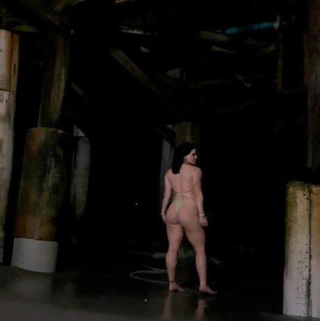 アジア人のアナルオンリーファン アートポルノ 写真