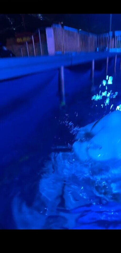 Yana Clare 最高のモデル ギャラリー