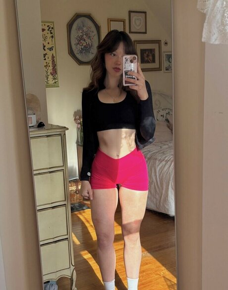 finseaa 高品質のスター 写真