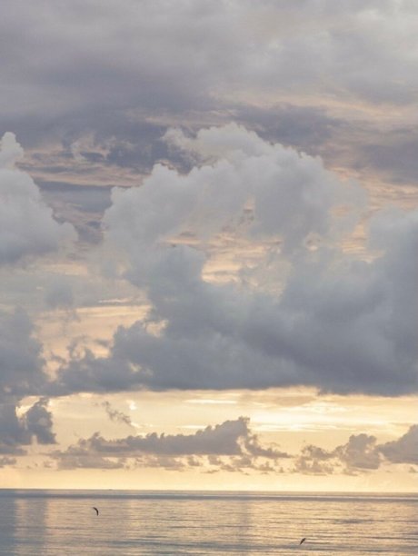 _Allima Amina ヌードのポルノスター アーカイブ