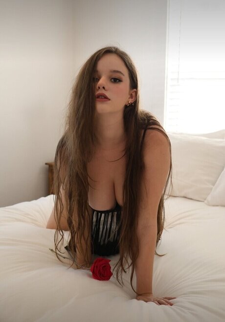 Isabella 110022 ポルノスター ベスト 画像