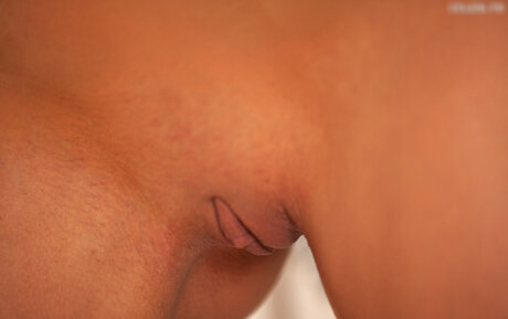 双子のOnlyFans アート裸 画像