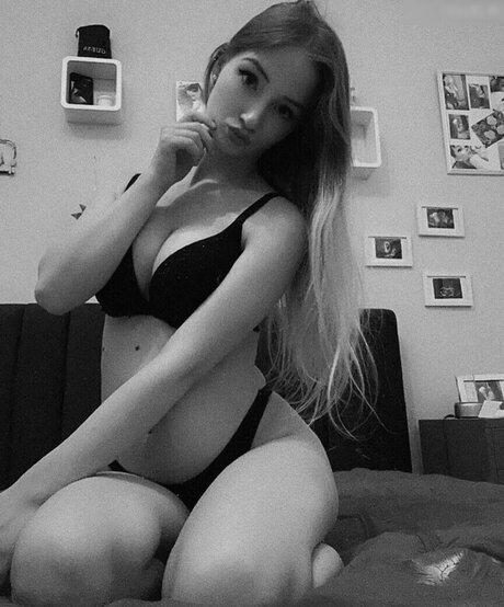 アーミーガールズオンリーファン HD 画像