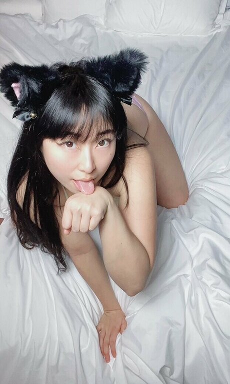 yungwitch トップスター 写真