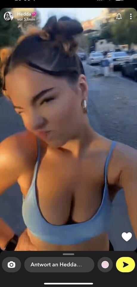 Hedda wmd 独占ポルノスター 写真