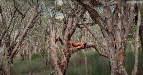 ブルネットの教師OnlyFans 美しい裸 写真