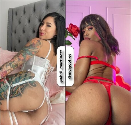 nina grey セックスポルノスター ギャラリー